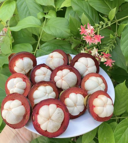 rau-cu-qua-tuoi-mang-cut-cho-nong-san