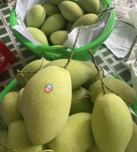 rau-cu-qua-tuoi-xoai-cat-hoa-loc-cho-nong-san